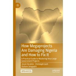 How Megaprojects Are Damaging Nigeria and How to Fix It: A Practical Guide to Mastering Very Large Government Projects