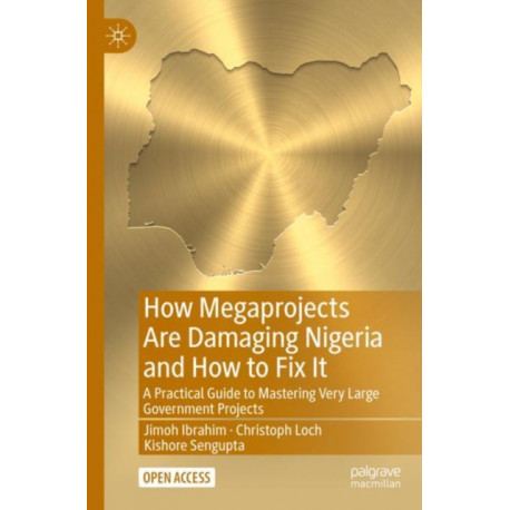 How Megaprojects Are Damaging Nigeria and How to Fix It: A Practical Guide to Mastering Very Large Government Projects