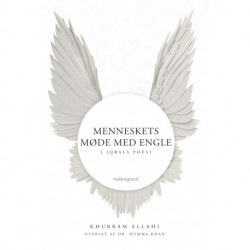 Menneskets møde med engle i Iqbals poesi