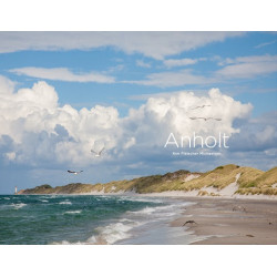 Anholt