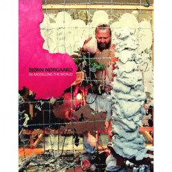 Bjørn Nørgaard: Re-Modelling the World Again Again