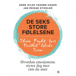 De seks store følelsene : hvordan emosjonene styrer deg mer enn du aner