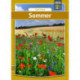 Sommer