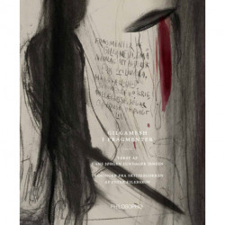 Gilgamesh i fragmenter