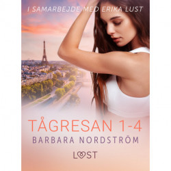Tågresan 1-4 - en serie om erotiska tågresor