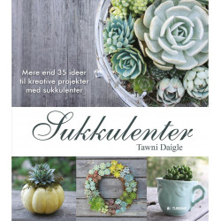 Sukkulenter