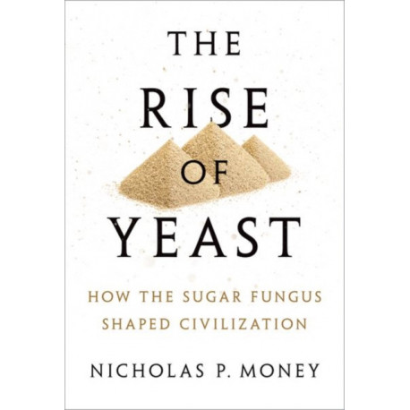The Rise of Yeast: How the sugar fungus shaped civilisation