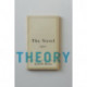 The Novel After Theory