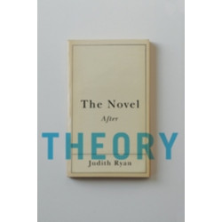 The Novel After Theory
