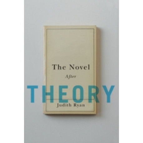 The Novel After Theory
