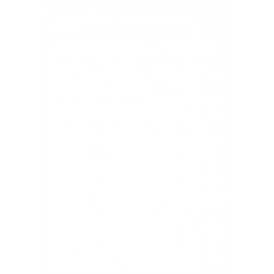 Domestic Violence and the Islamic Tradition