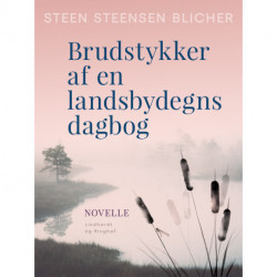 Brudstykker af en landsbydegns dagbog