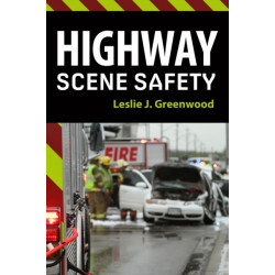 Highway Scene Safety