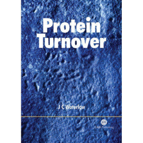 Protein Turnover