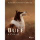 Buff: A Collie