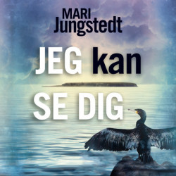 Jeg kan se dig