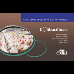 Colibacillosis - Main Challenges in Poultry Farming