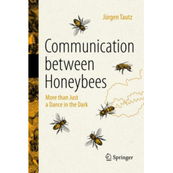 Communication Between Honeybees: More than Just a Dance in the Dark
