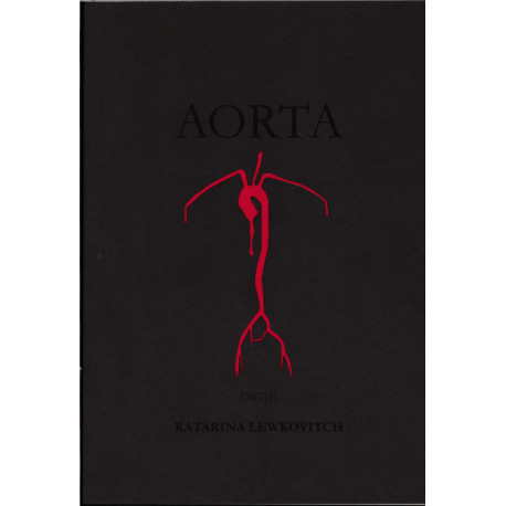 Aorta