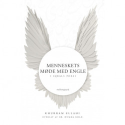 Menneskets møde med engle i Iqbals poesi