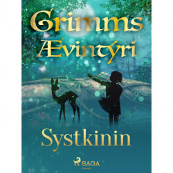 Systkinin