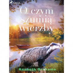O czym szumią wierzby