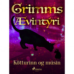 Kötturinn og músin