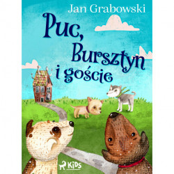 Puc, Bursztyn i goście