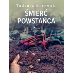 Śmierć powstańca