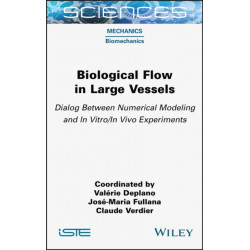 Biological Flow in Large Vessels: Dialog Between Numerical Modeling and In Vitro/In Vivo Experiments