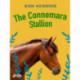 The Connemara Stallion