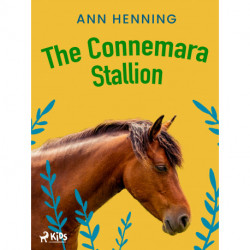 The Connemara Stallion