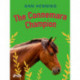 The Connemara Champion
