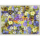 Blomster