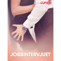 Jobbintervjuet - erotiske noveller