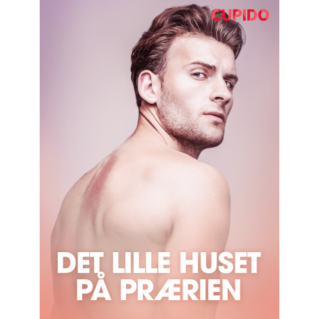 Det lille huset på prærien - erotiske noveller