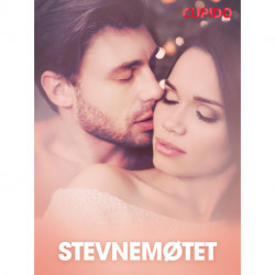 Stevnemøtet - erotiske noveller