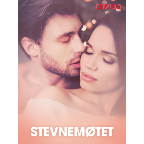 Stevnemøtet - erotiske noveller