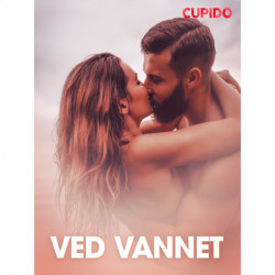 Ved vannet - erotiske noveller