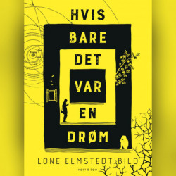Hvis bare det var en drøm