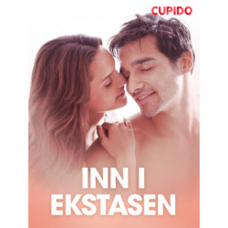 Inn i ekstasen - erotiske noveller