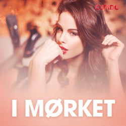 I mørket – erotiske noveller