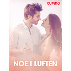 Noe i luften - erotiske noveller