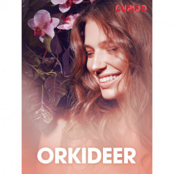 Orkideer - erotiske noveller