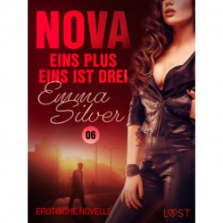 Nova 6: Eins plus eins ist drei – Erotische Novelle