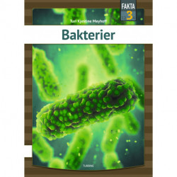 Bakterier