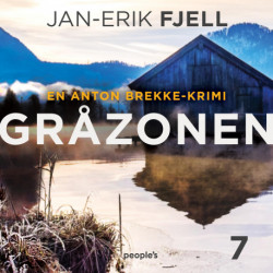 Gråzonen