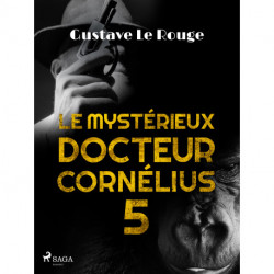 Le Mystérieux Docteur Cornélius 5