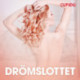 Drömslottet - erotiska noveller
