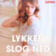 Lykken slog ned – erotiske noveller